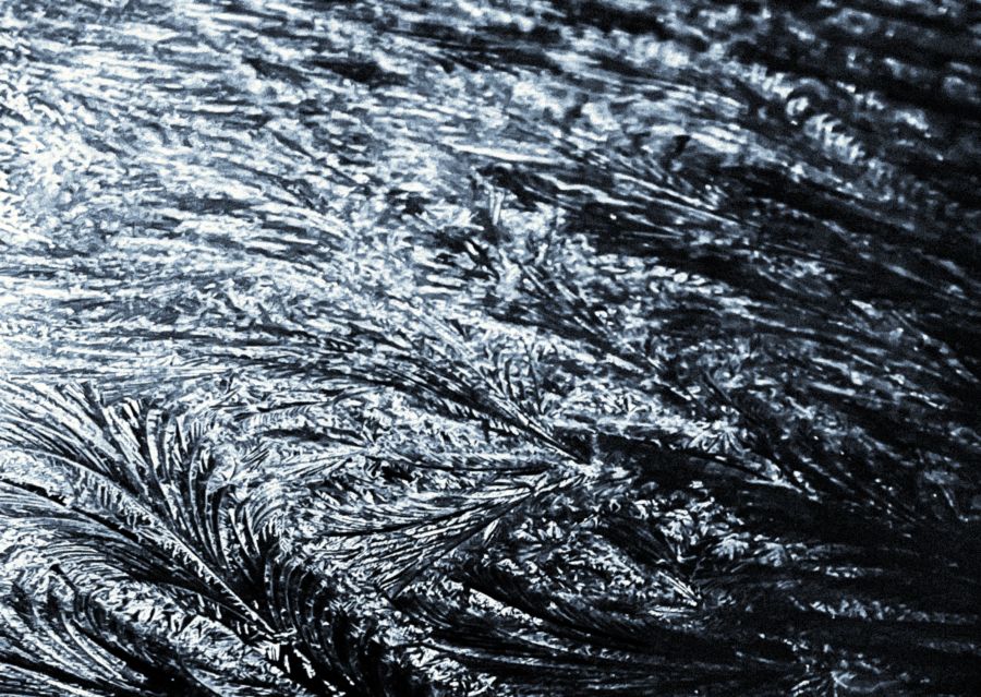 Weather temperature This image showcases an intricate pattern of frost with feather-like crystal formations, capturing the natural artistry of ice as it forms on a surface. germany,weinheim,weather