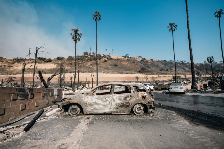 Wildfire Damage  