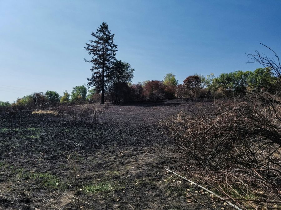 nature destruction Burned area. 