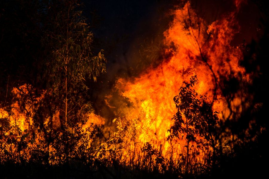 Wildfire Economy  