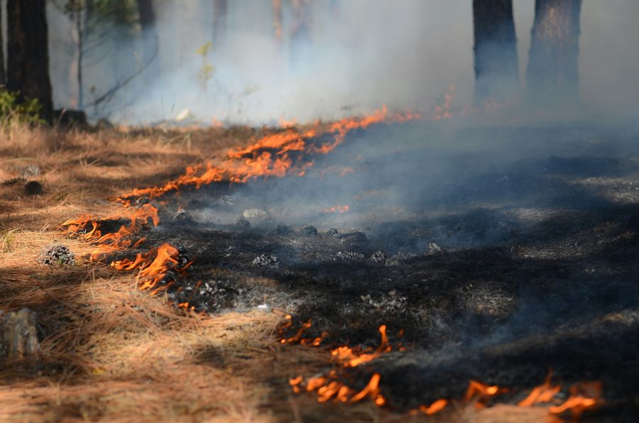 wildfire pollution  
