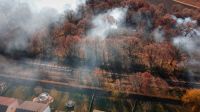 wildfire forest  