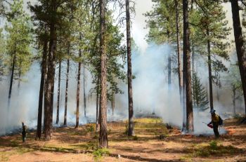 wildfire conspiracy