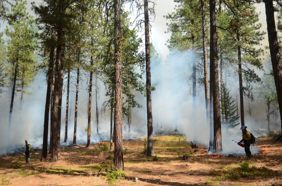 wildfire conspiracy  