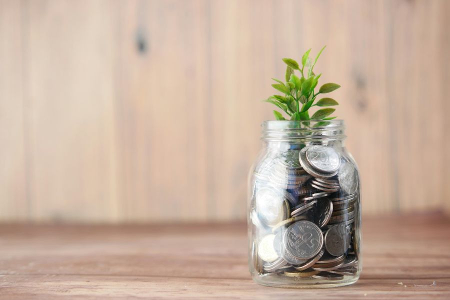 Wealth plant,money,coin