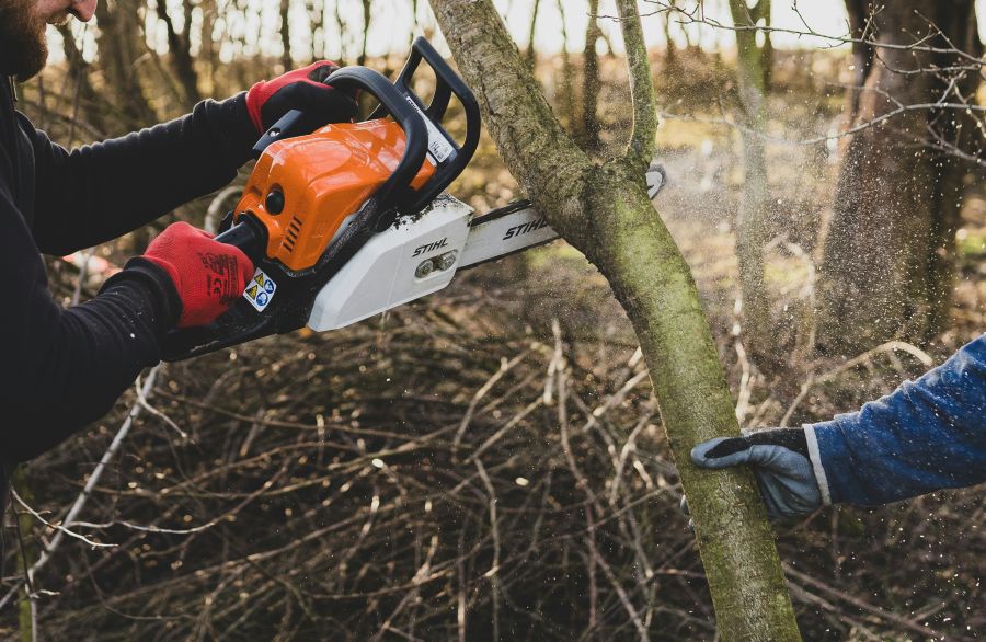 tree felling  