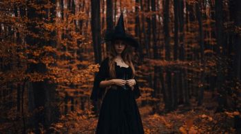 Witch art witch in a scary forest 