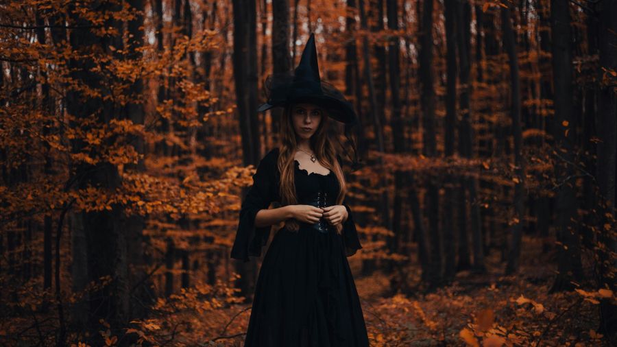 Witch art witch in a scary forest 