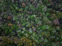 Ecology Transition  