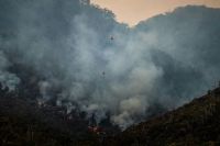 Wildfire Forest Firefighting at Fingal, Tasmania in 2020. 