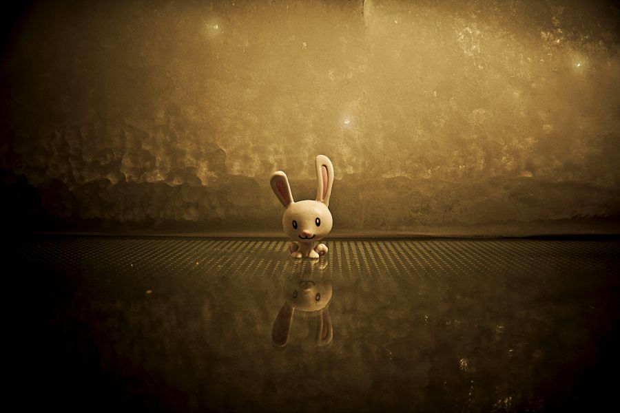 Animation Smiling plastic bunny bunny,toy,reflection