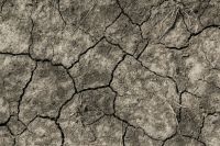 Heatwave Summer soil 