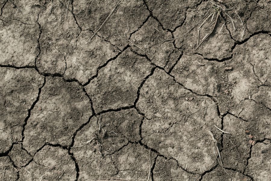Heatwave Summer soil 