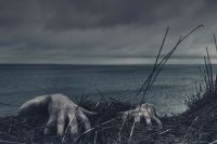 Dead body Climbing up from ocean halloween,grey,spooky