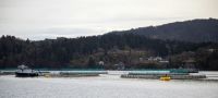 Salmon farm  