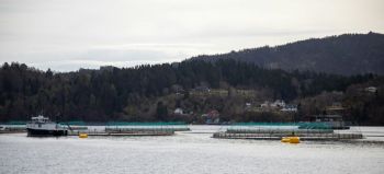 Salmon farm