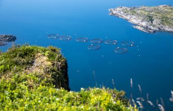 Salmon farm