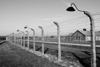 Holocaust victims Auschwitz Birkenau  grey,auschwitz,Pologne