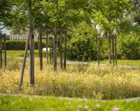 Garden Bordeaux Jardin Bordeaux 