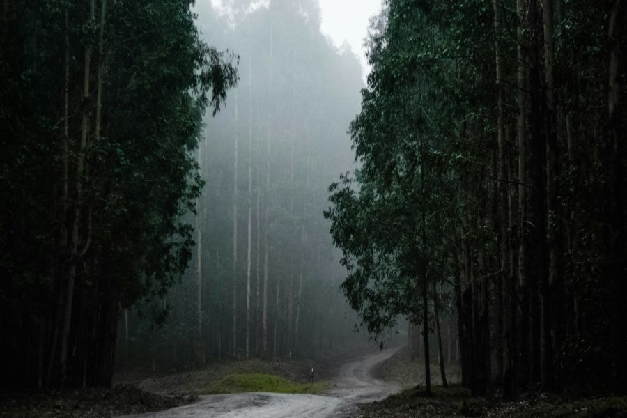 Rainy day grey,road,winter