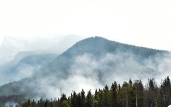 wildfire forest Mountain with a forest fire