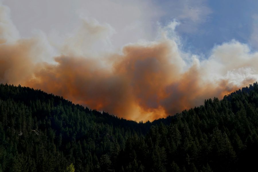 Wildfire Forest Taken on the day the calwood fire started from the peak to peak highway. Showing the smoke plume created from the fire after growing to 8000 acres within the first 5 hours. 