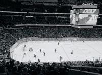 hockey  