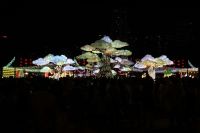 Festival Arts  