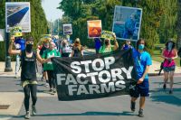 Factory Protest Animal Rights activists from Direct Action Everywhere protest in Sacramento to stop factory farms the negative effects on the climate crisis, is the contribution to pandemics, like covid-19 and animal cruelty. usa,ca,sacramento