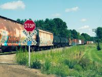 Transport strike  