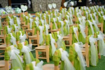 Green event 学校 幼儿园 