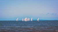 Sailboats  