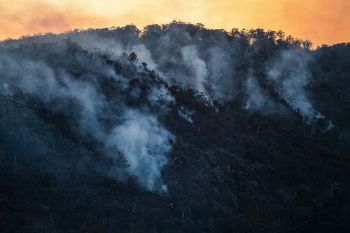Wildfire recovery Bushfires at Fingal, Tasmania, 2020.