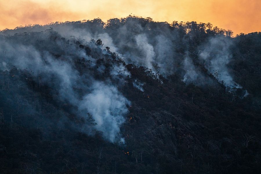 Wildfire recovery Bushfires at Fingal, Tasmania, 2020. 