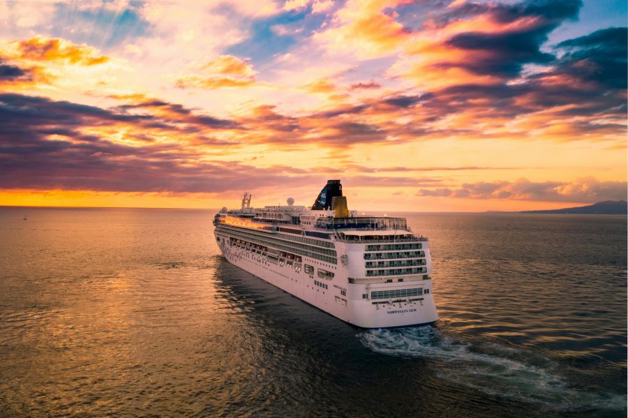 cruise  