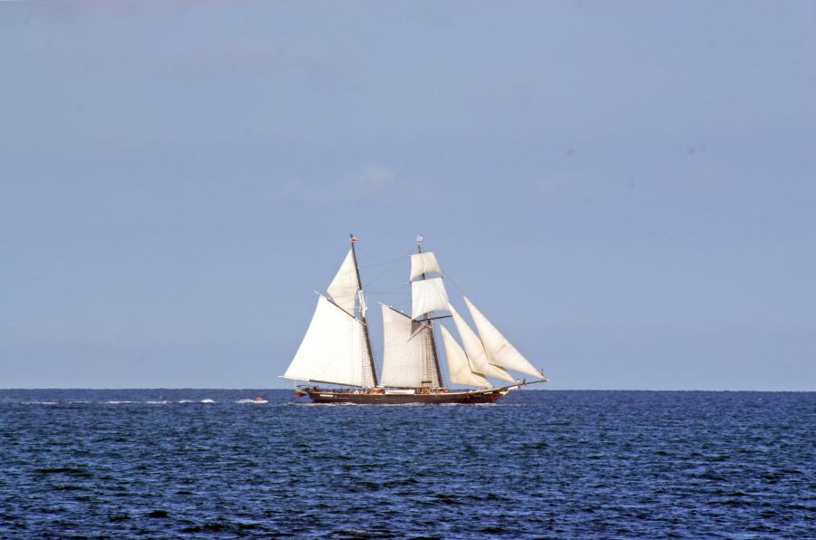 Sailing ship Sailing boat at the ocean ship,boat,blue