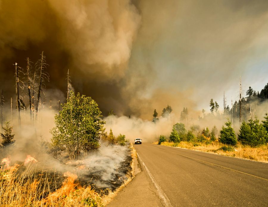 forest fire We were on our way to a lookout to photograph activity on the Jones Fire as part of our work for the fire management team. We heard radio traffic about a spot fire that has jumped the road we were traveling on. We drove up to find controlled chaos and very active fire. I jumped out with fire gear on and started shooting. I like this shot because it tells the whole story in one frame. 