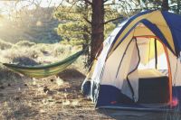 Camping nature Campsite at golden hour 