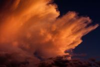 weather cloudy Wind blown cloud tops in the setting sun.  climate,brown,storm
