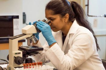 biology institute Observing samples under the microscope