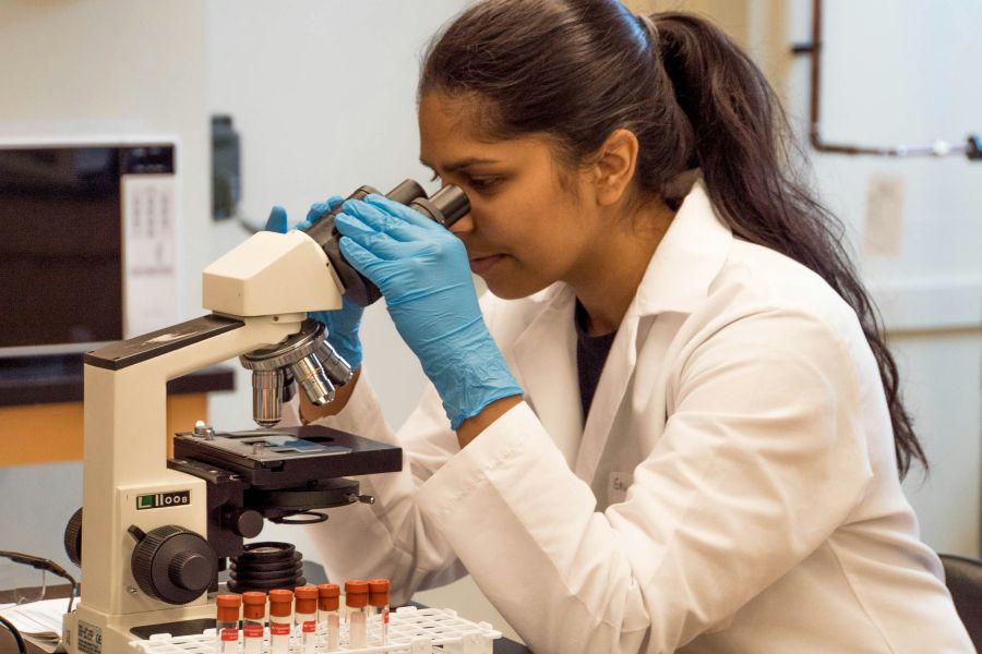 biology institute Observing samples under the microscope  