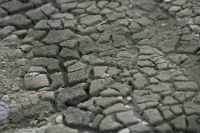 Drought Agriculture  