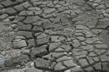 Drought Agriculture
