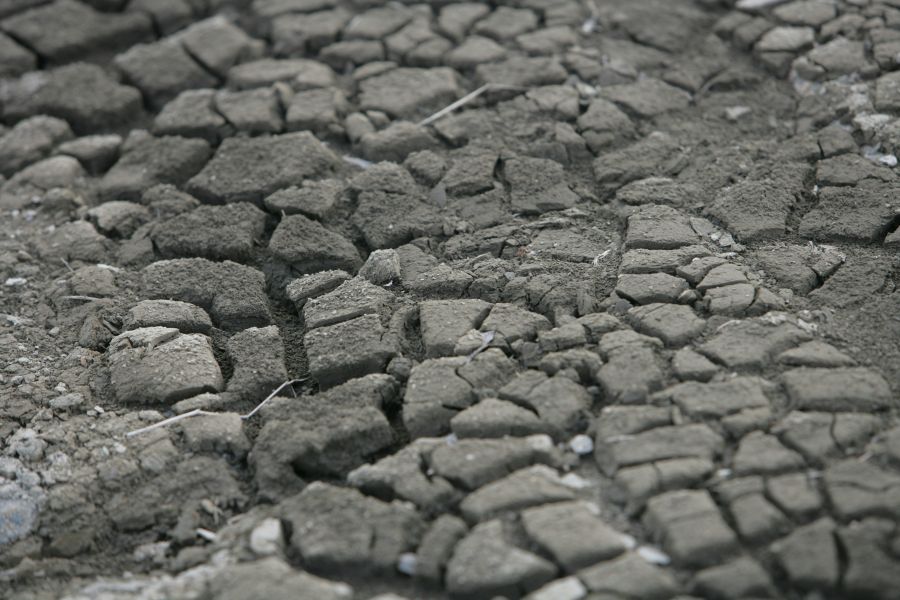 Drought Agriculture  