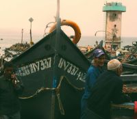 Fishermen protest Fisherman of Marocco 