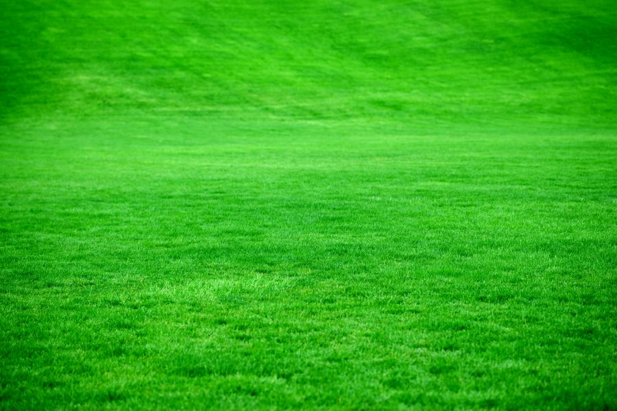 Green spaces A large open green grassy area at a local sports park. 