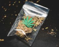 Drugs  cannabis,weed,grinder