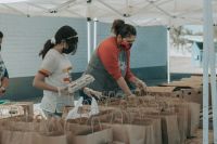 volunteer  volunteer,stock photography,food bags