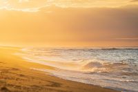 Sunny Beach Atlantic Ocean Waves during golden sunset usa,massachusetts,cape cod