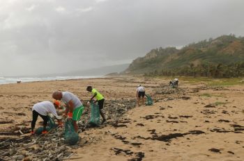 Beach cleanup A beach cleanup that I helped organize in Barbados. We collected hundreds of plastic water bottles, along with a variety of other single use plastics that washed in with the tide. Single use plastics threaten the health of our oceans, and we can all do something to help prevent it. Follow on Instagram @wildlife_by_yuri, and find more free plastic pollution photos at: https://www.wildlifebyyuri.com/free-ocean-photography